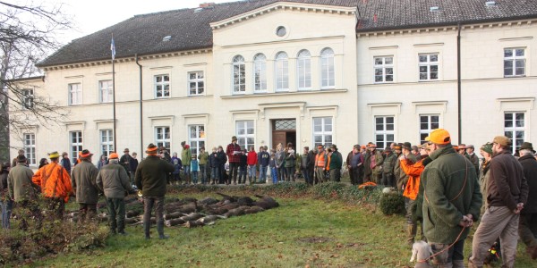 das Geburtshaus unserer Welpen