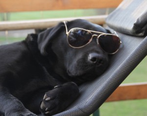 cool! cool!