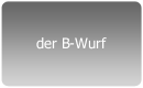 der B-Wurf