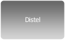 Distel